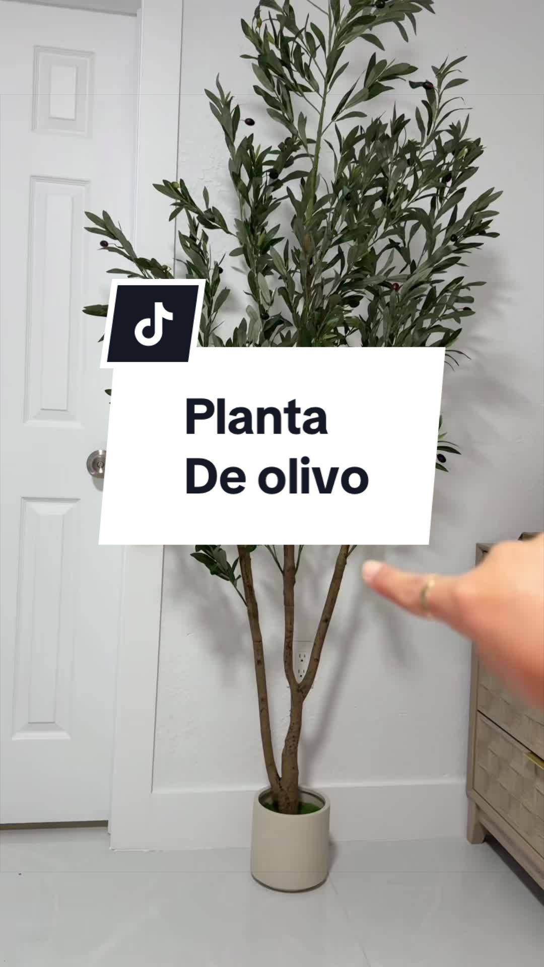 @thaliahr🇨🇺