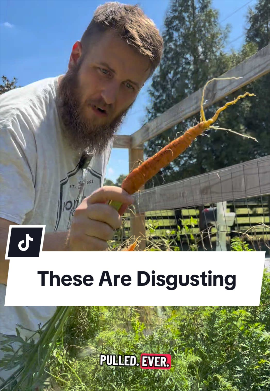 @Bandrhomestead