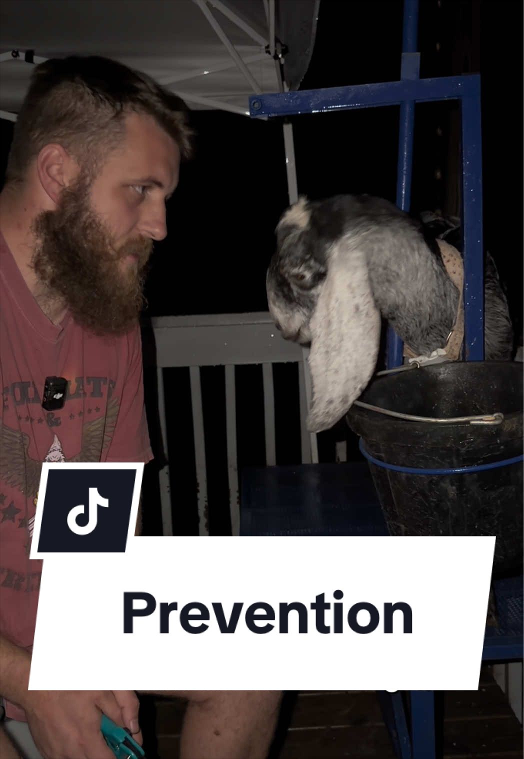 @Bandrhomestead