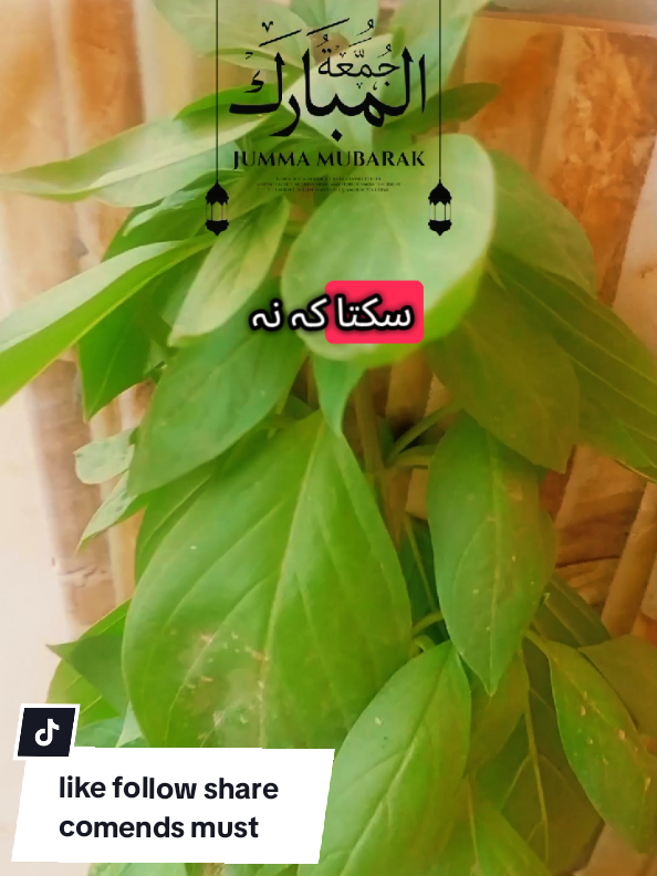 @𝐃𝐞𝐞𝐧𝐞𝐚𝐧𝐛𝐢𝐲𝐚