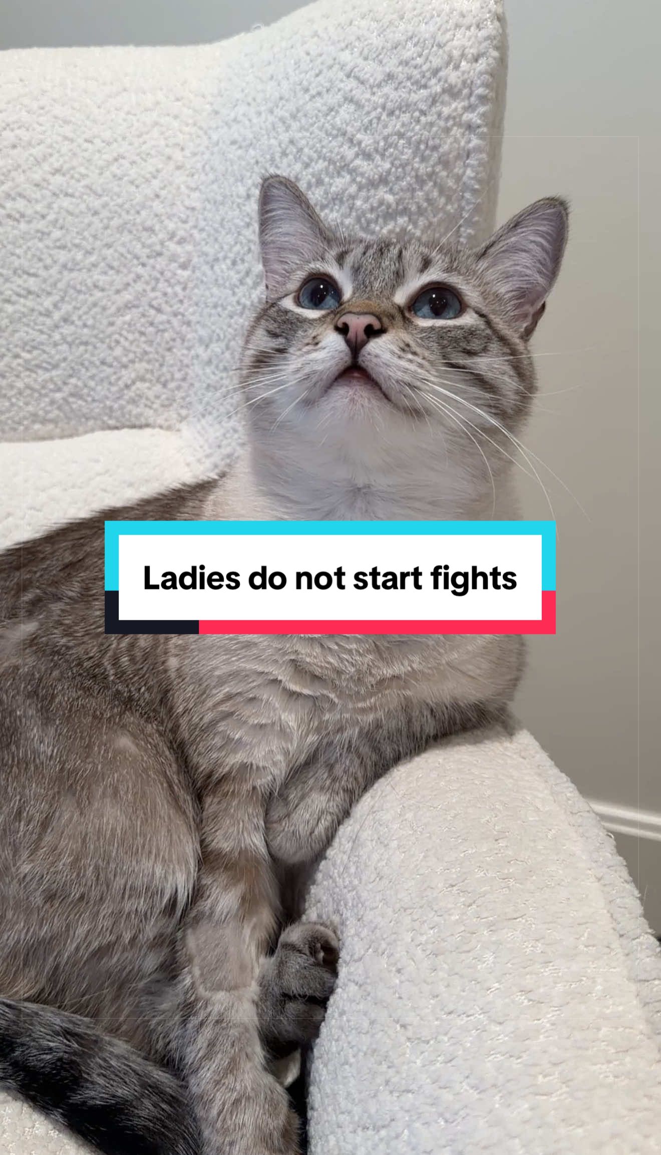 @Mariah | Cat Mom