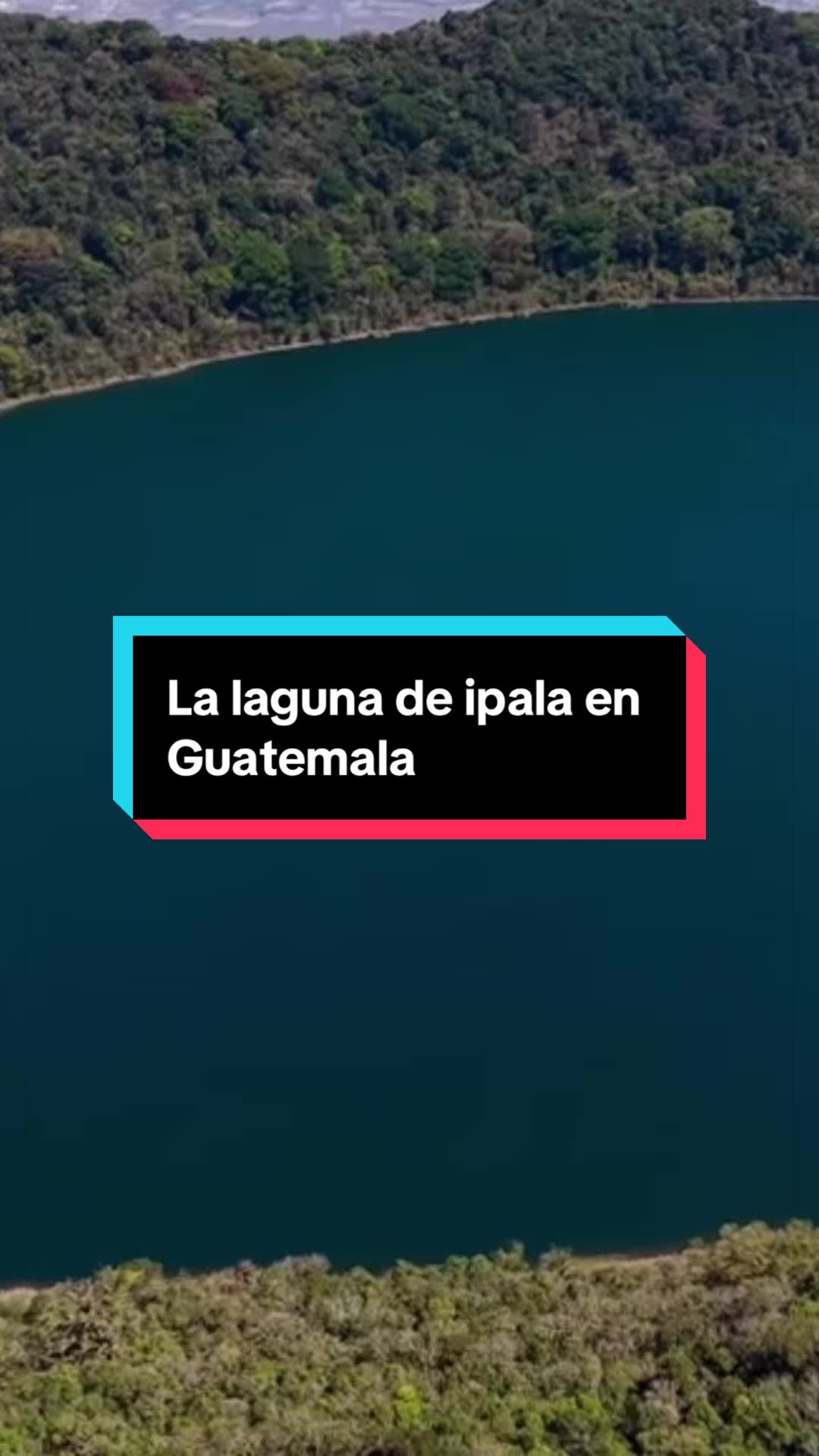 @El Wason
