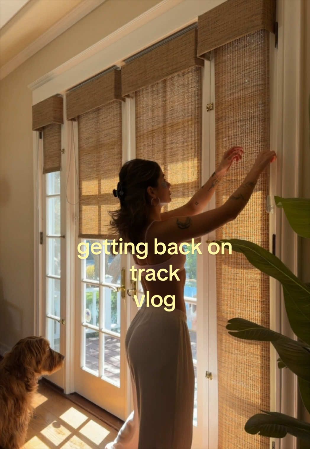 @Ani