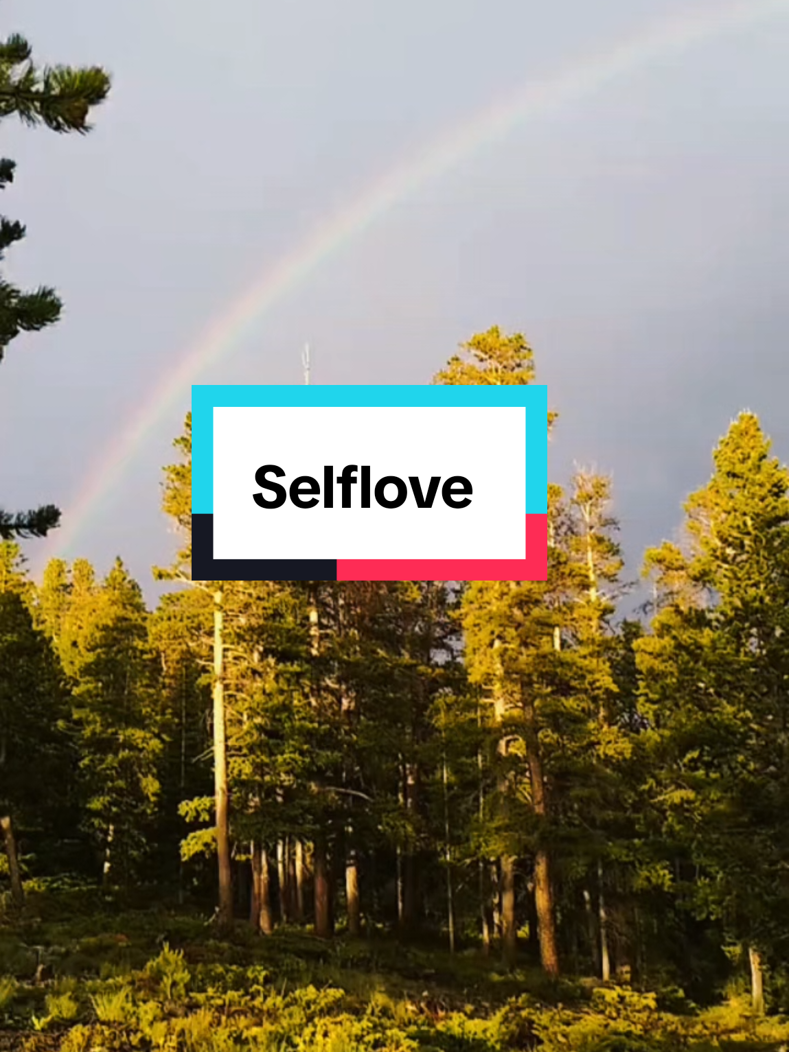 @Bella