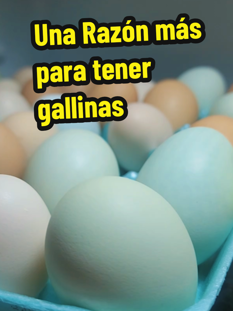 @Mi Rincón Favorito