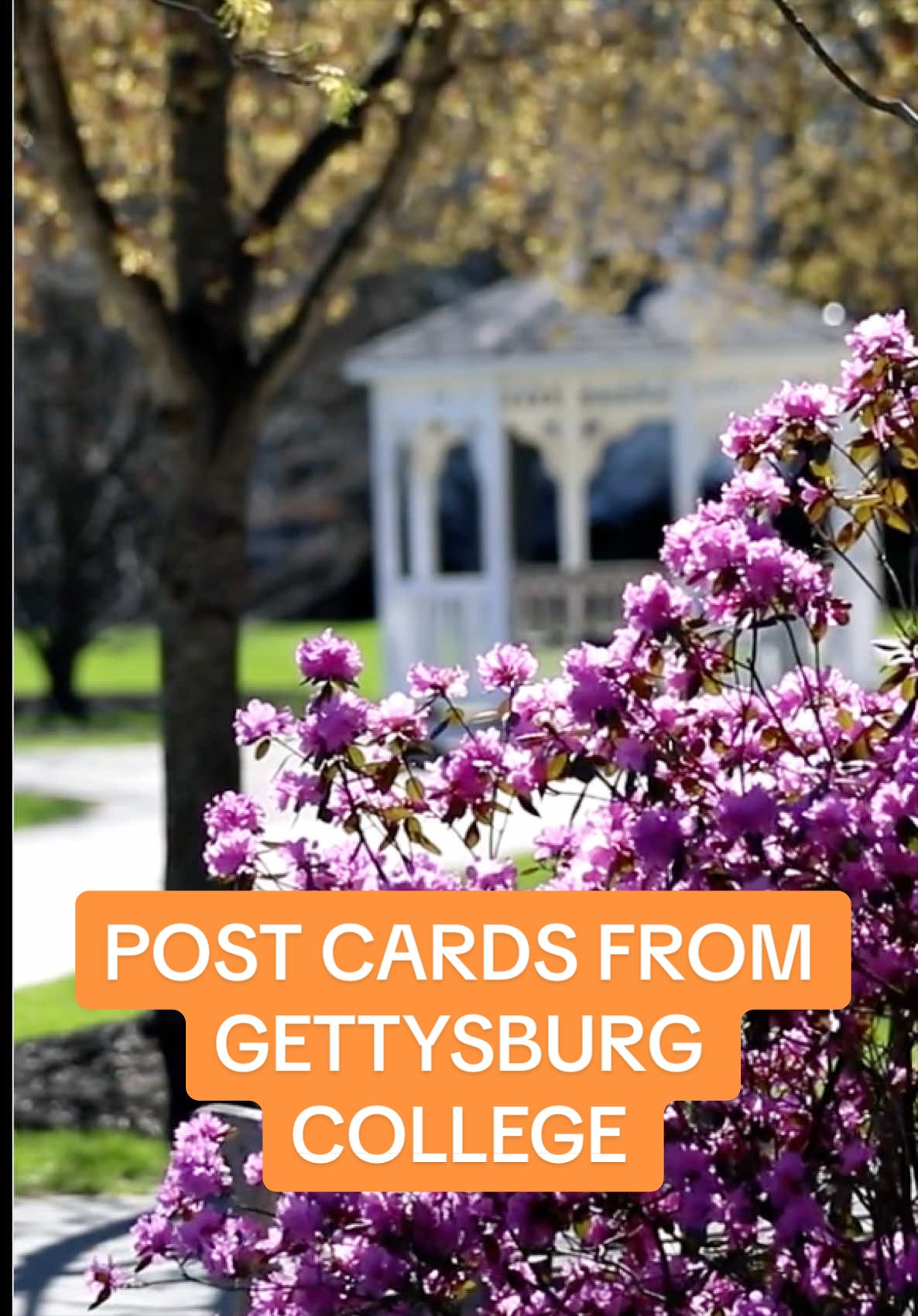 @Gettysburg College