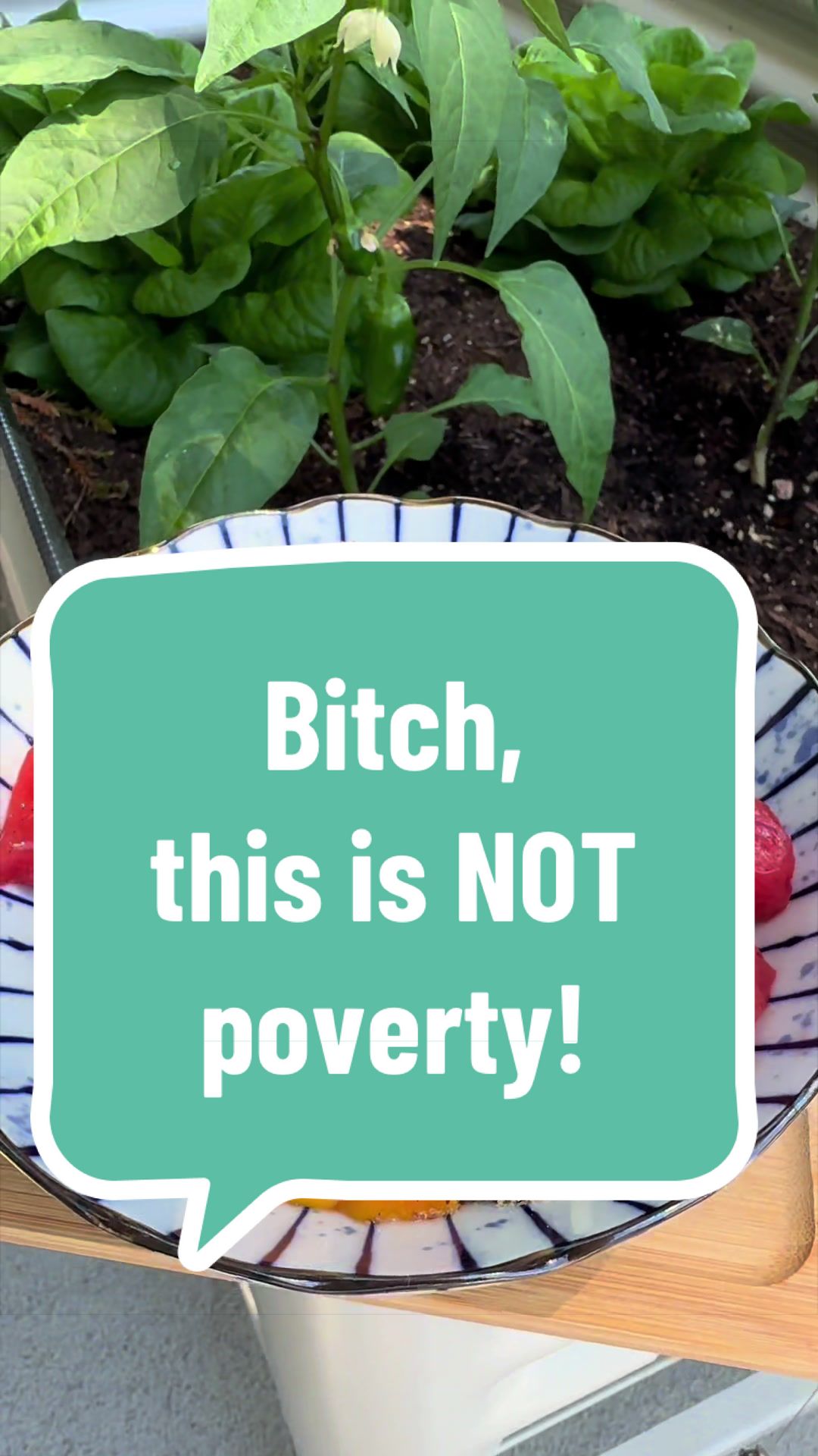 @plantbasedfoodcoach