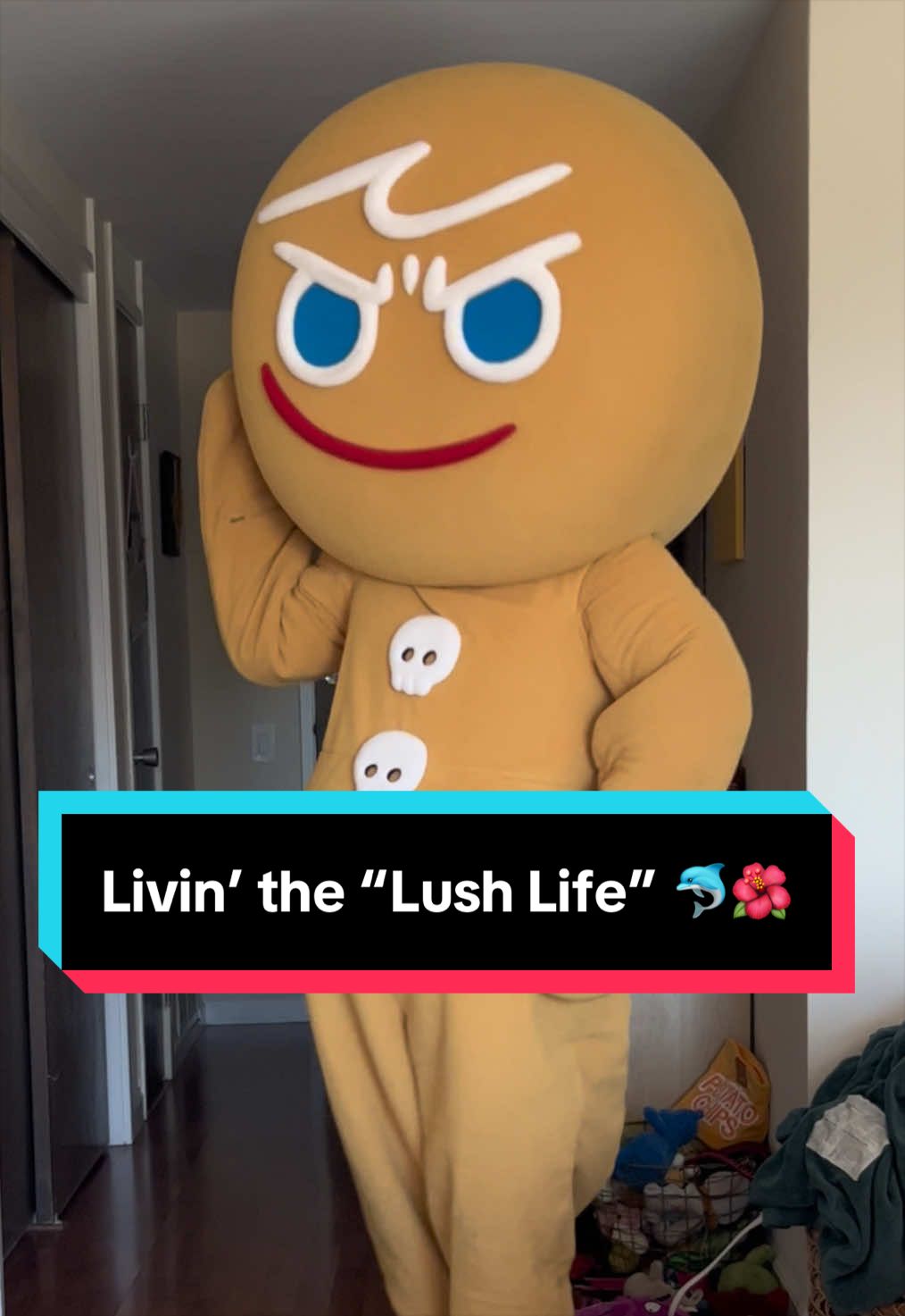 @CookieRun