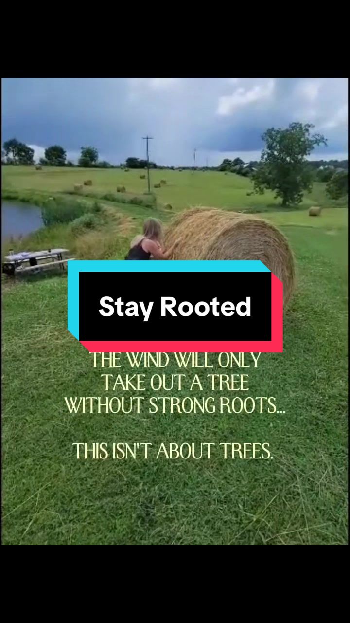 @Life Built in KY