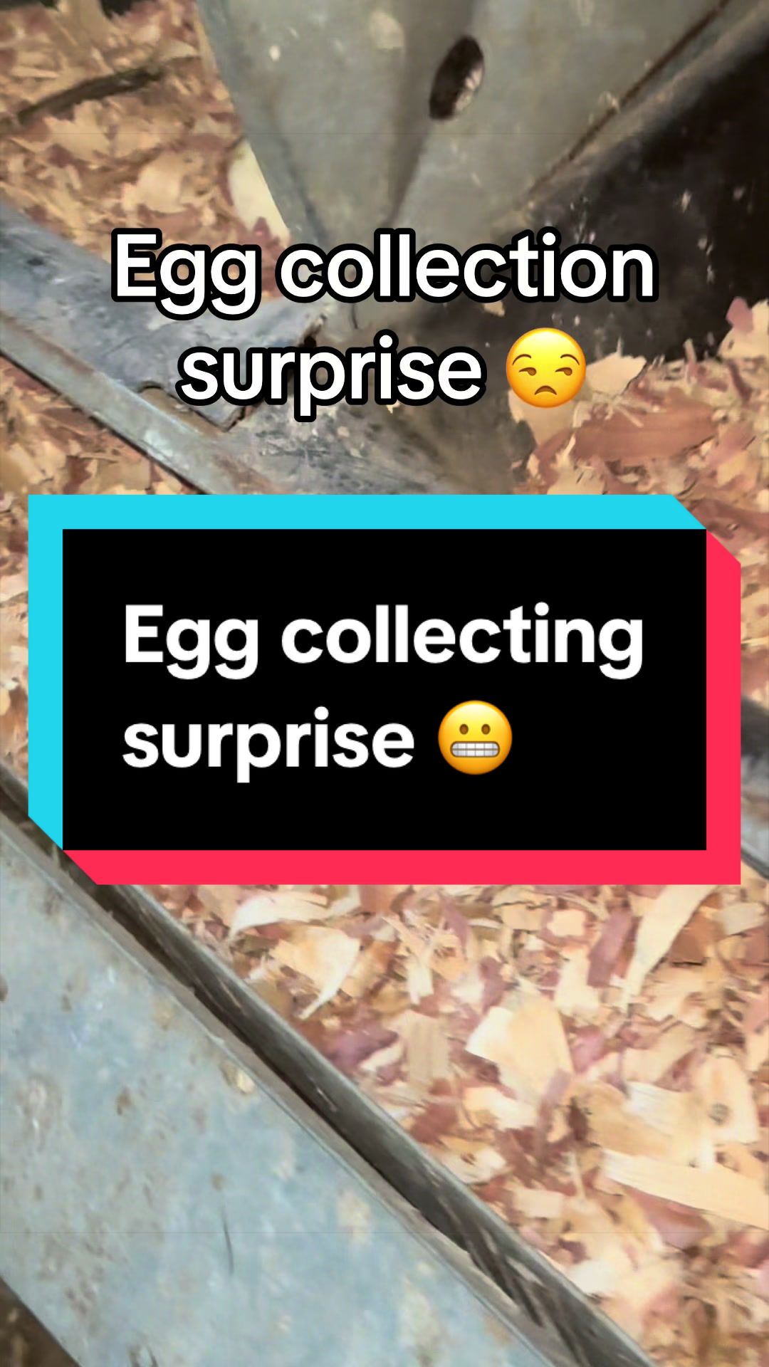 @𝔽𝕖𝕝𝕚𝕔𝕚𝕒 𝕋𝕒𝕪𝕝𝕠𝕣