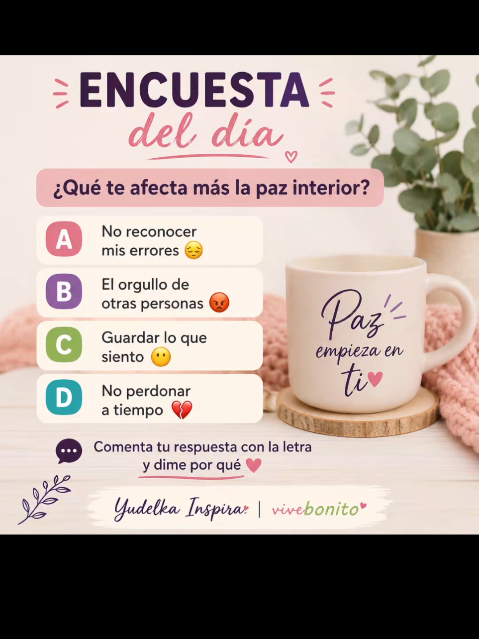 @Vivebonito