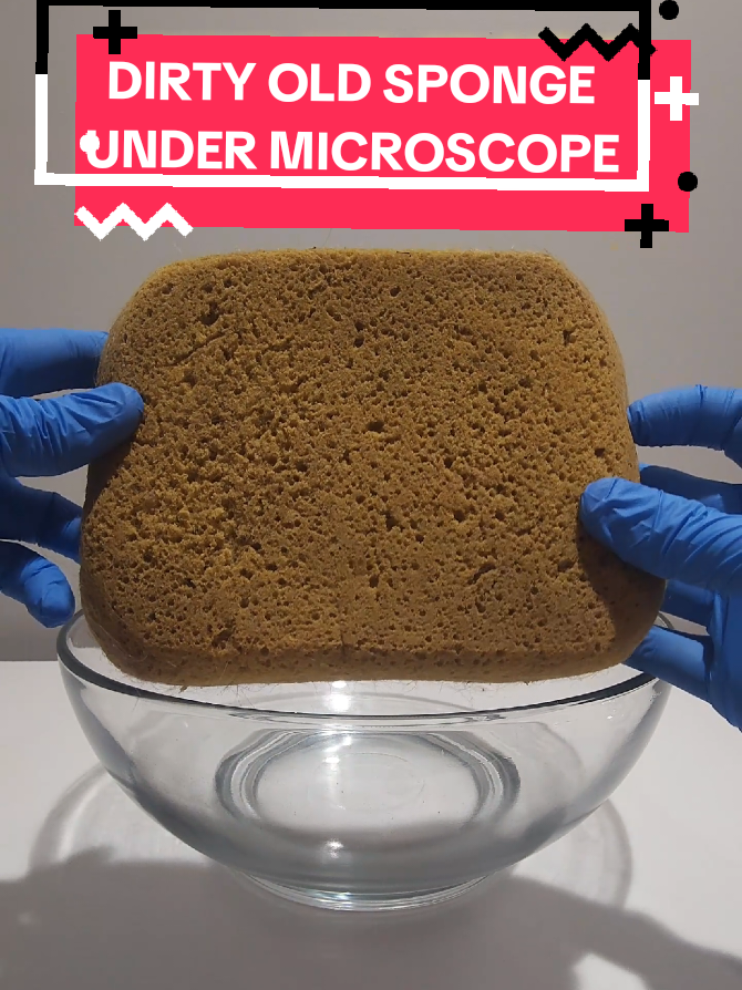 @Micro Man