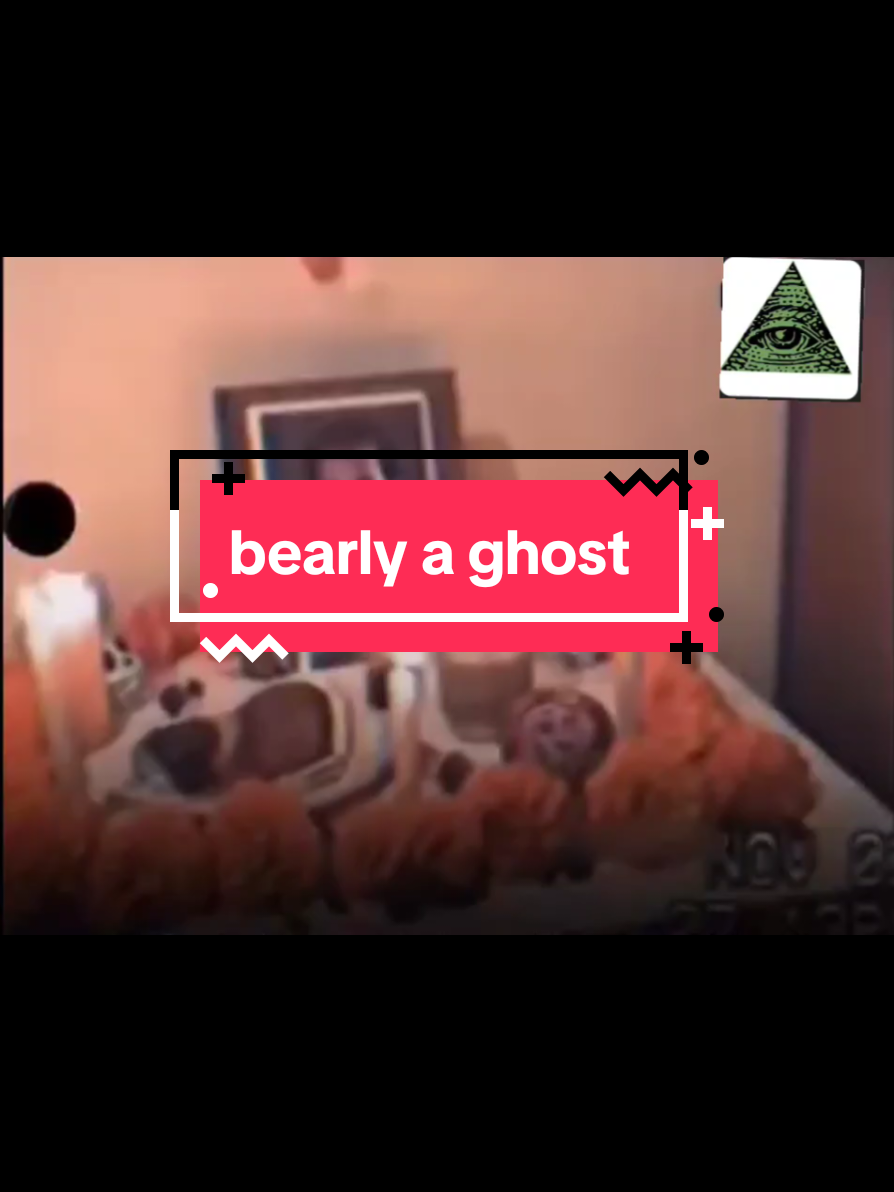 @bearlyconspiracies