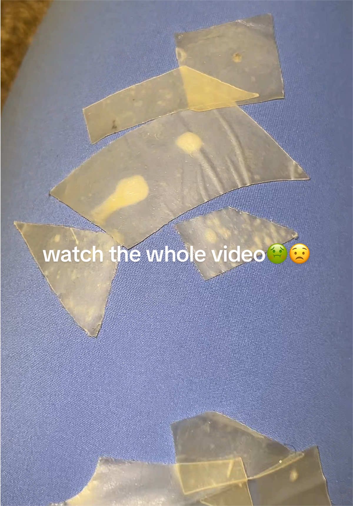 @msrosaely