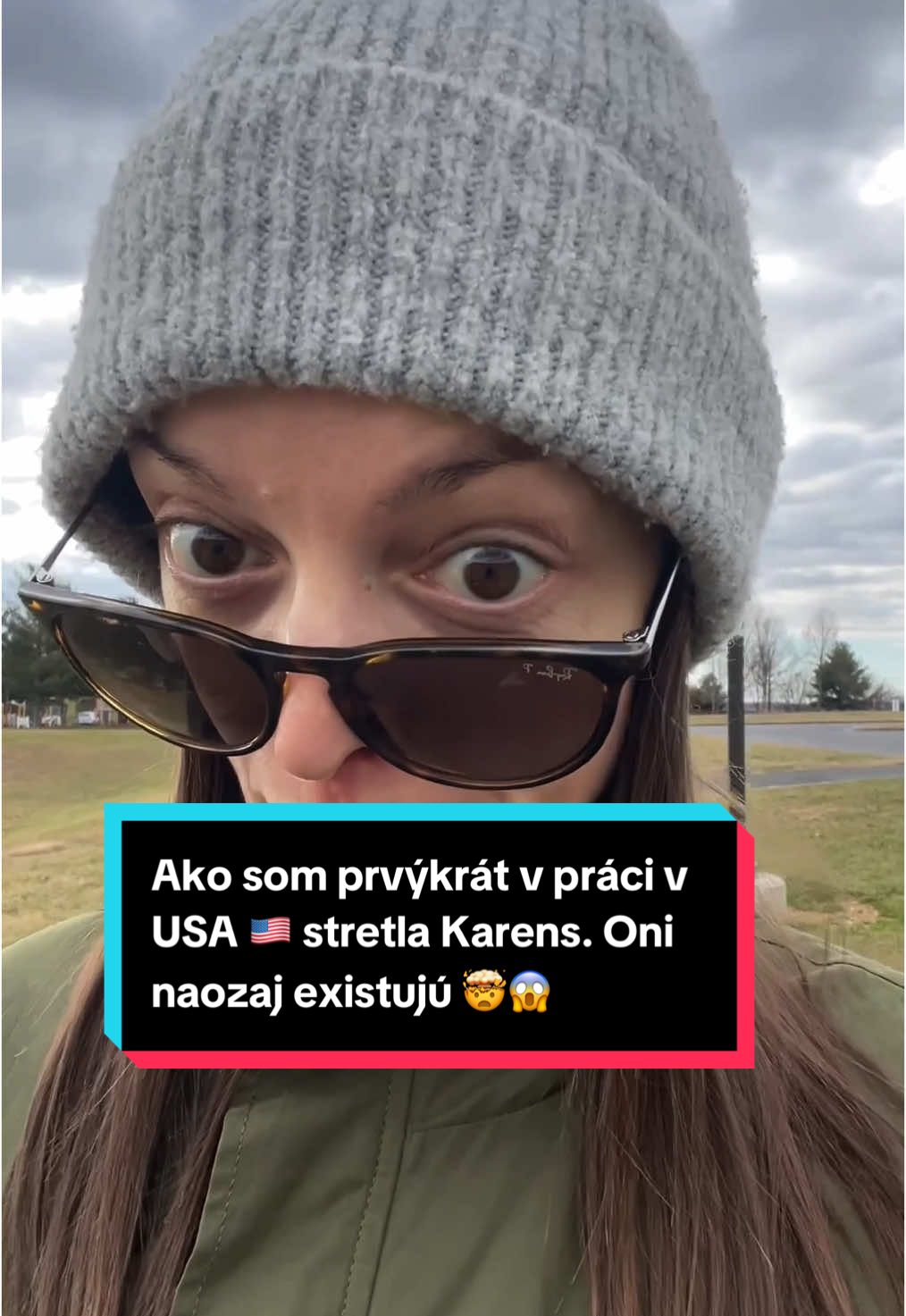 @slovenka v amerike