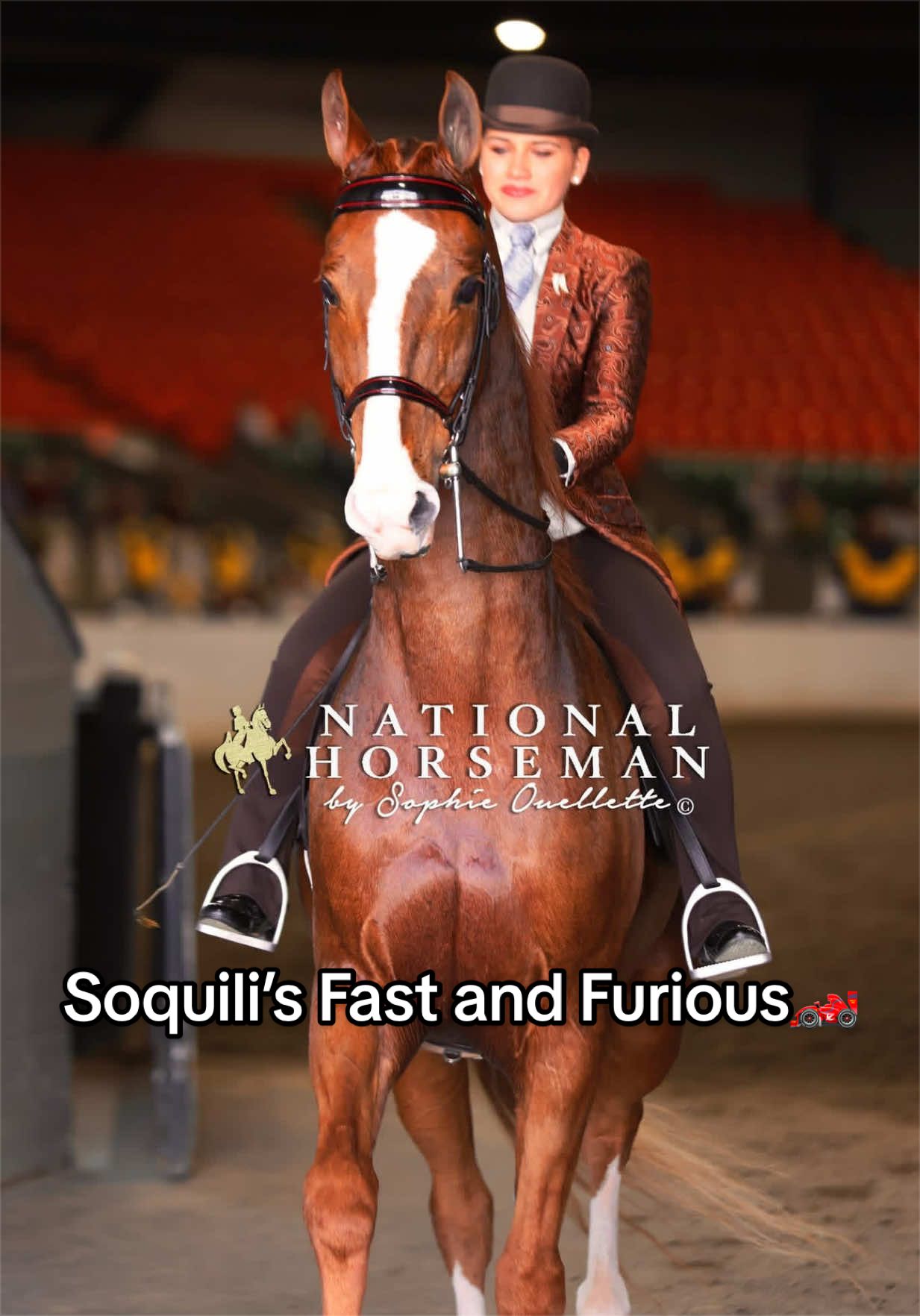 @Seraphim&ensp;Stables