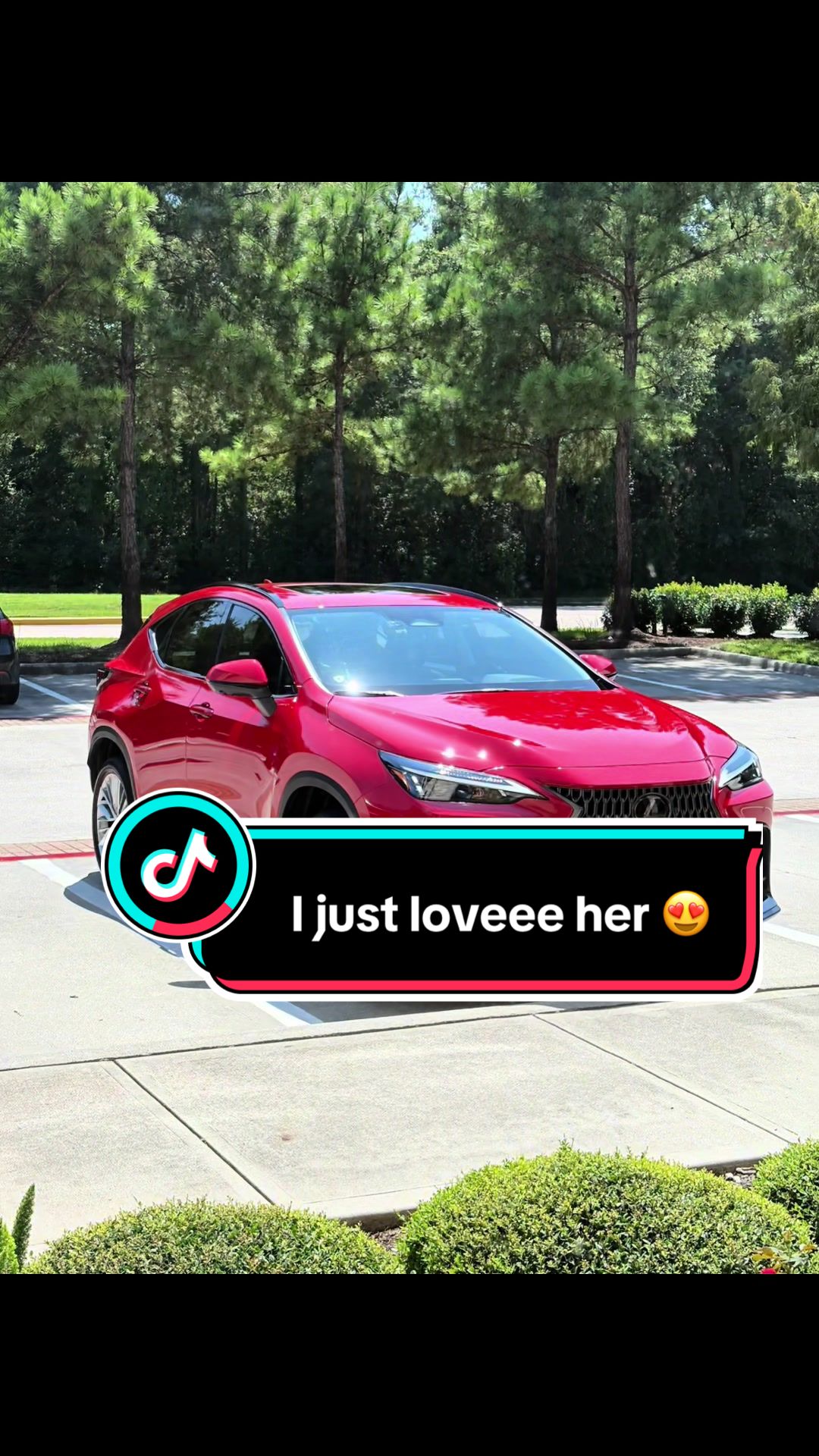 @Lashaee