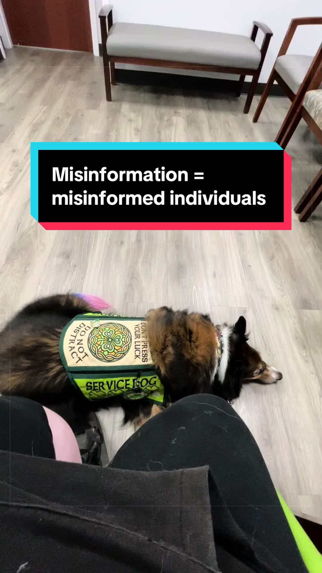 @Dakota & Pups