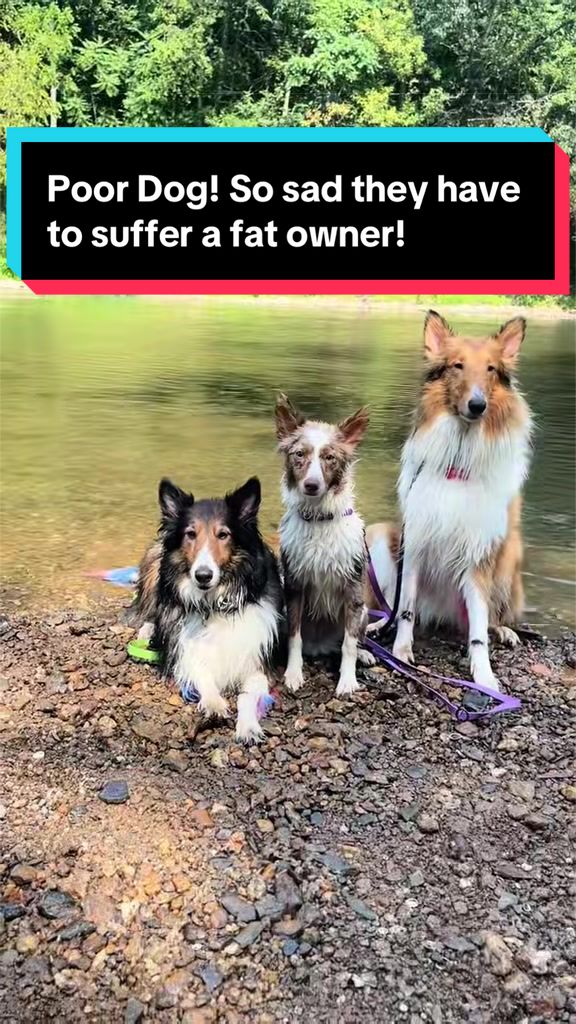 @Dakota & Pups