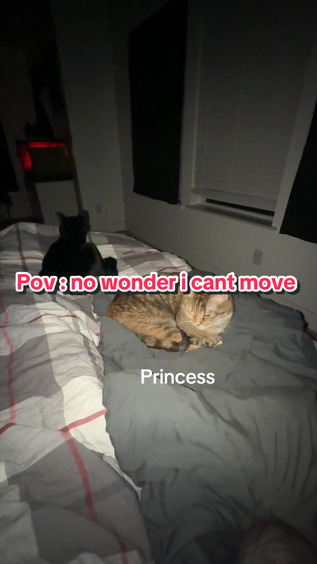 @kodi_1517
