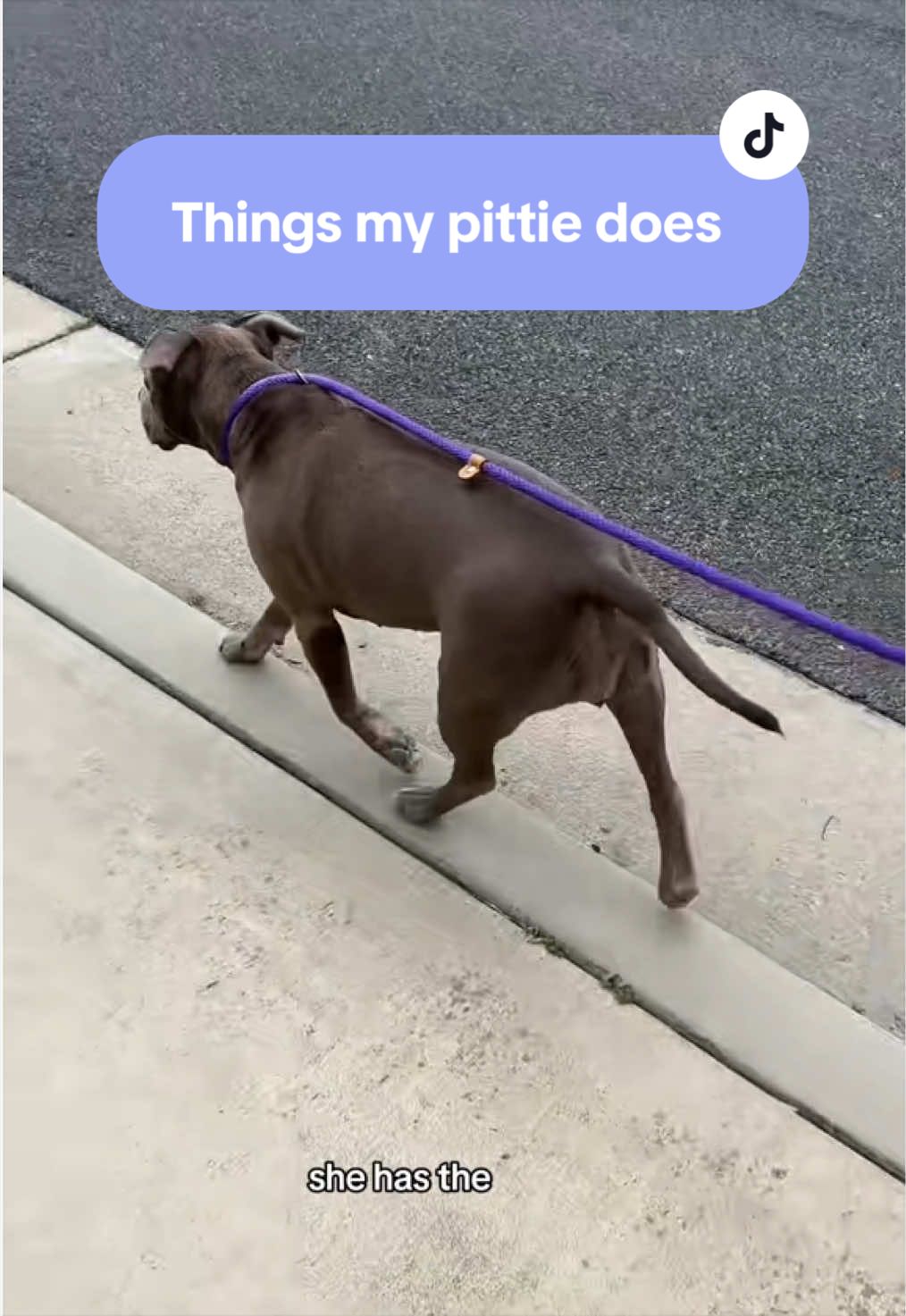 @Cali the Pit