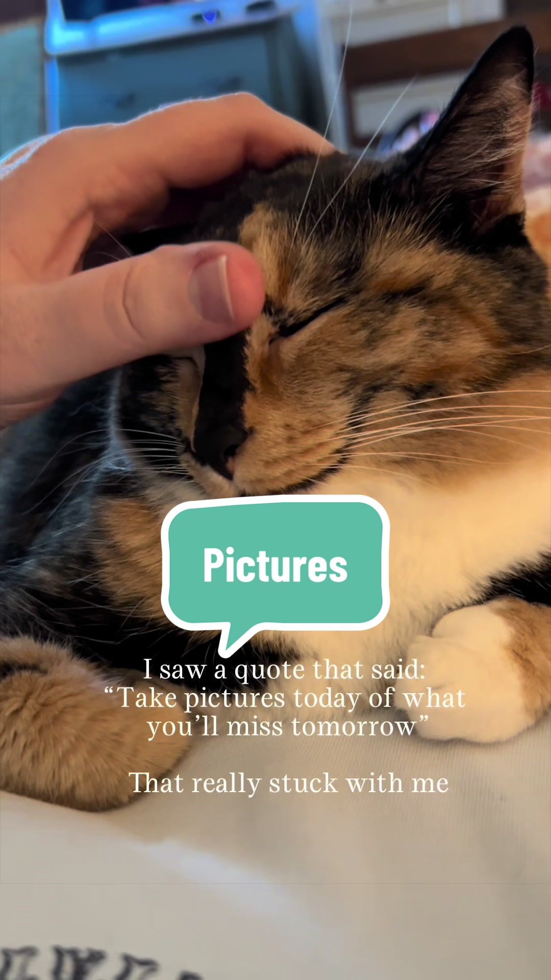 @SnickersTheSmilingCat