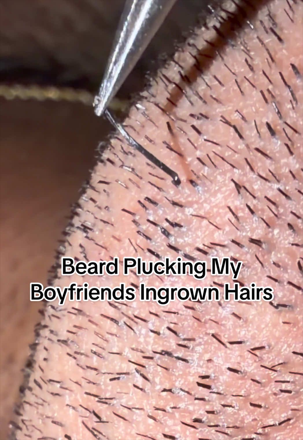 @GroomingMyGrizzly
