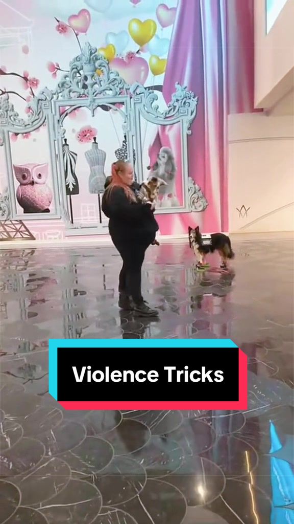 @Dakota & Pups