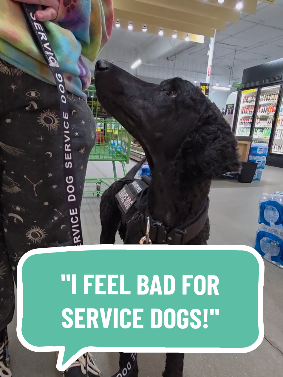 @Canine Wonders Training