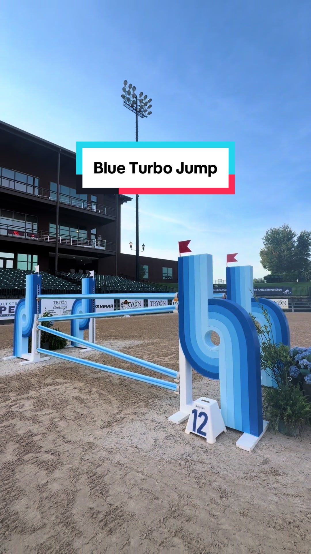 @Dalman Jump Co