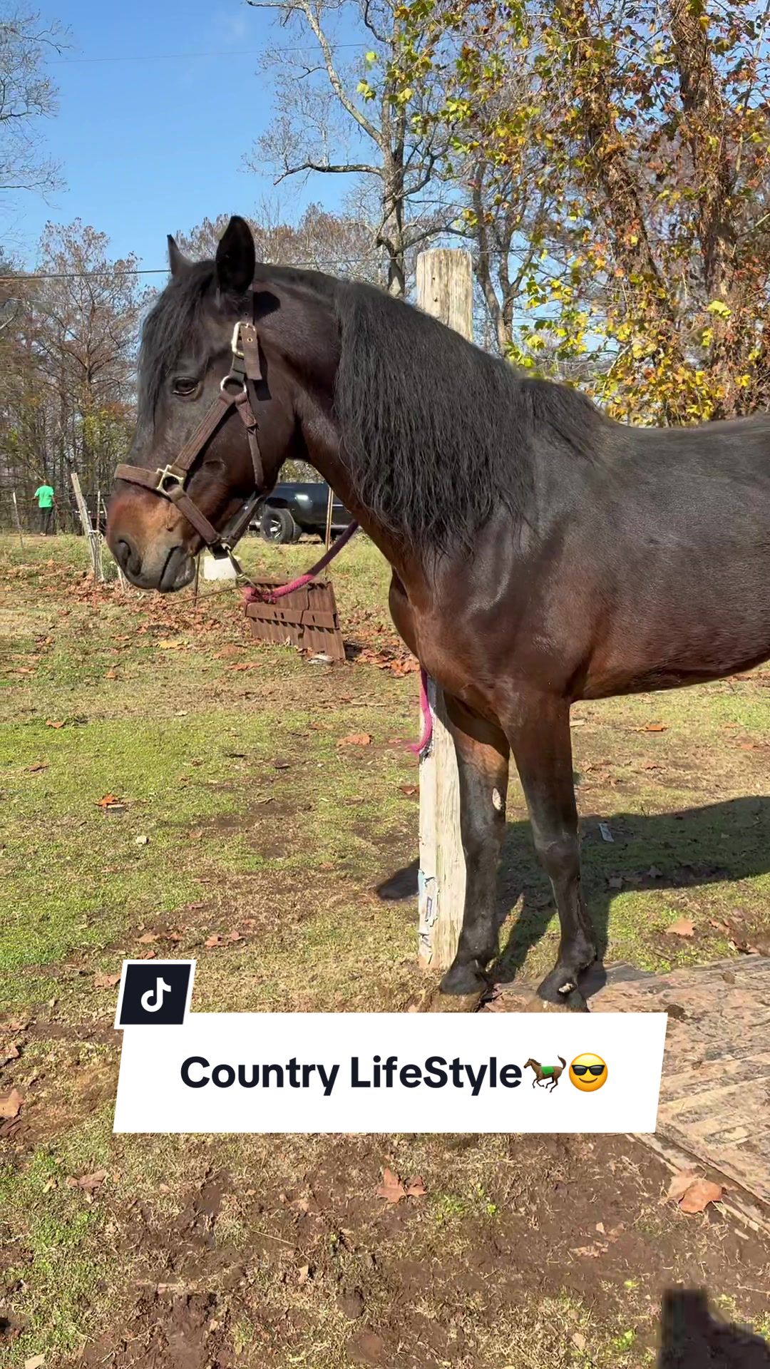 @likountrysosmovee🤠.