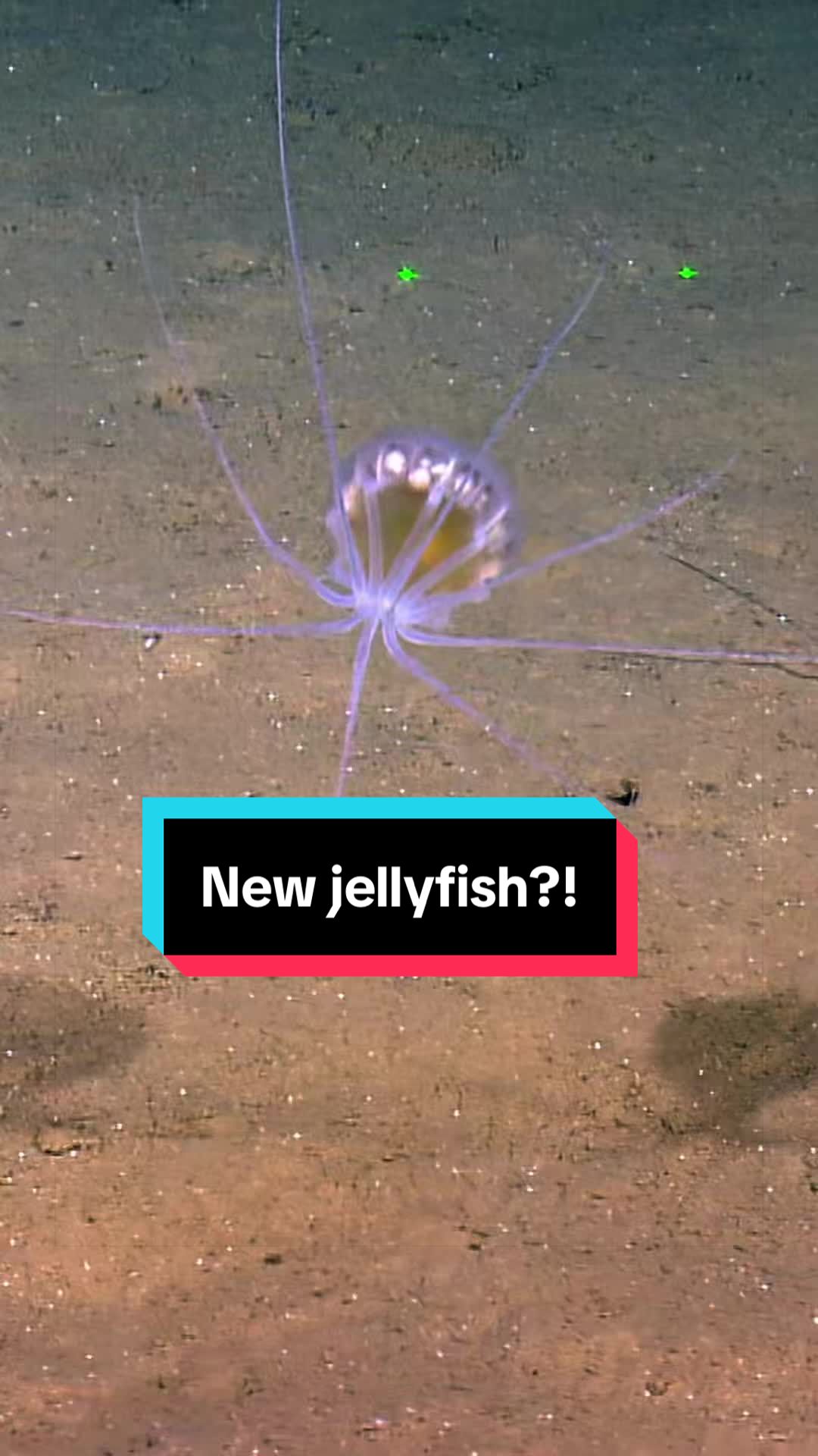 @Ocean Exploration Trust