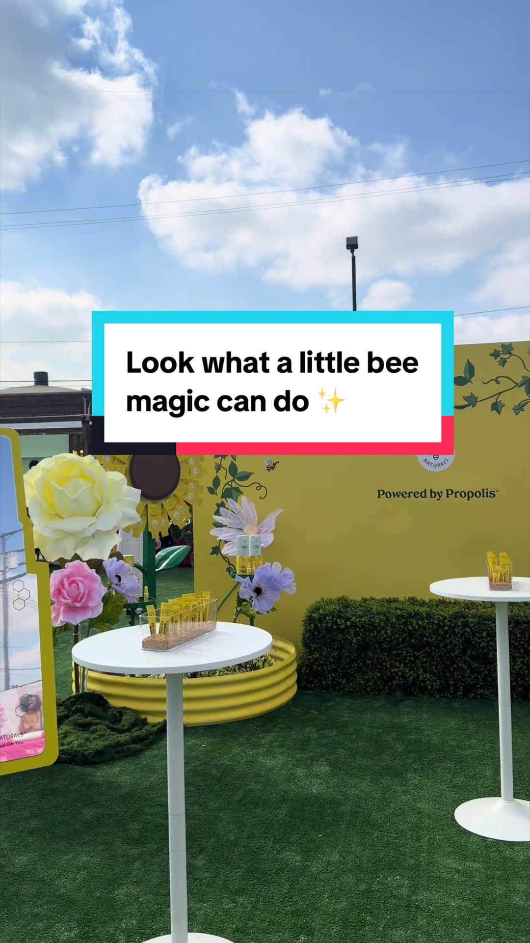 @Beekeeper's Naturals