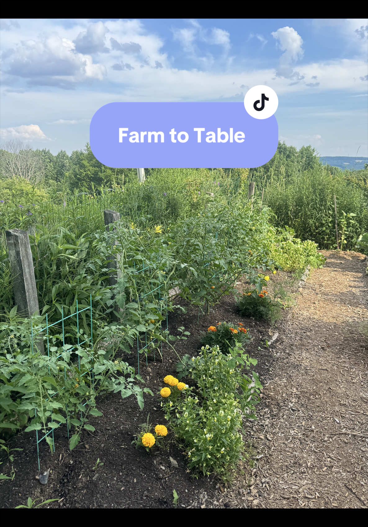 @Manica | zone 6a gardener
