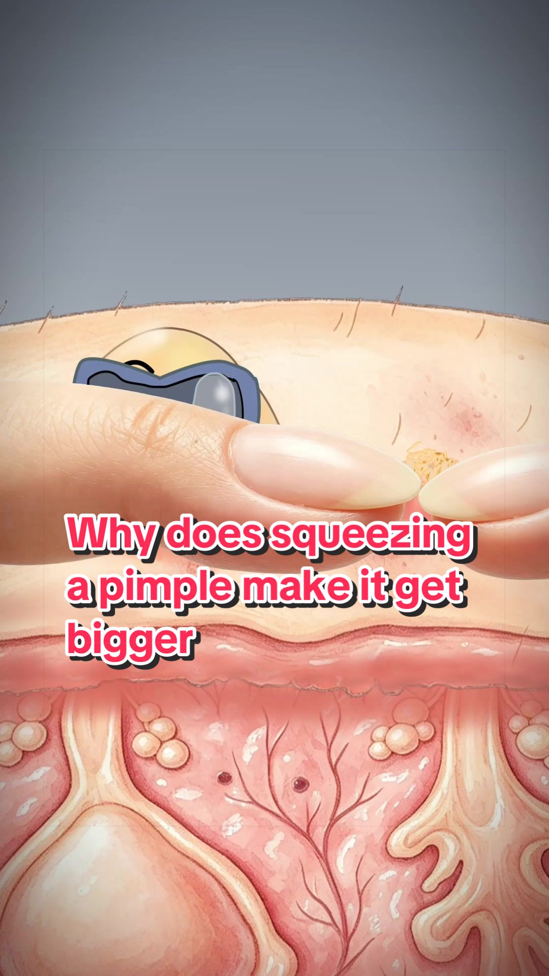 @Funny Animations