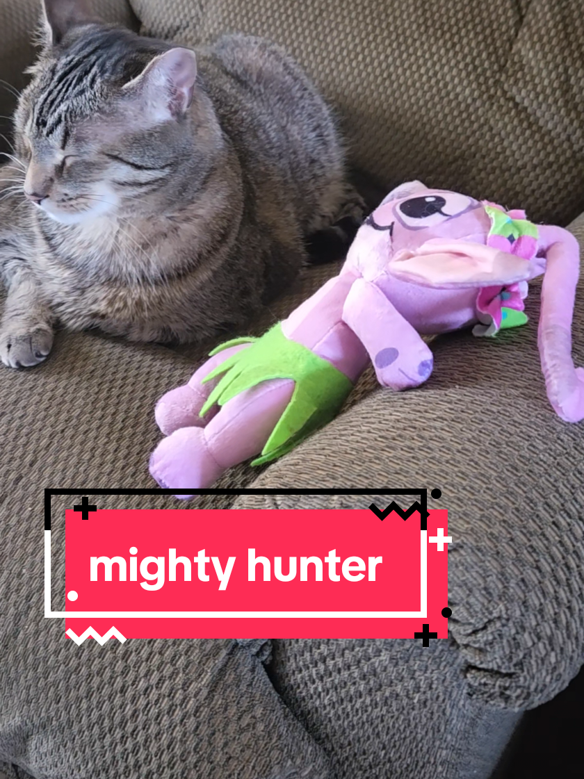 @tiny_tnr_tigers