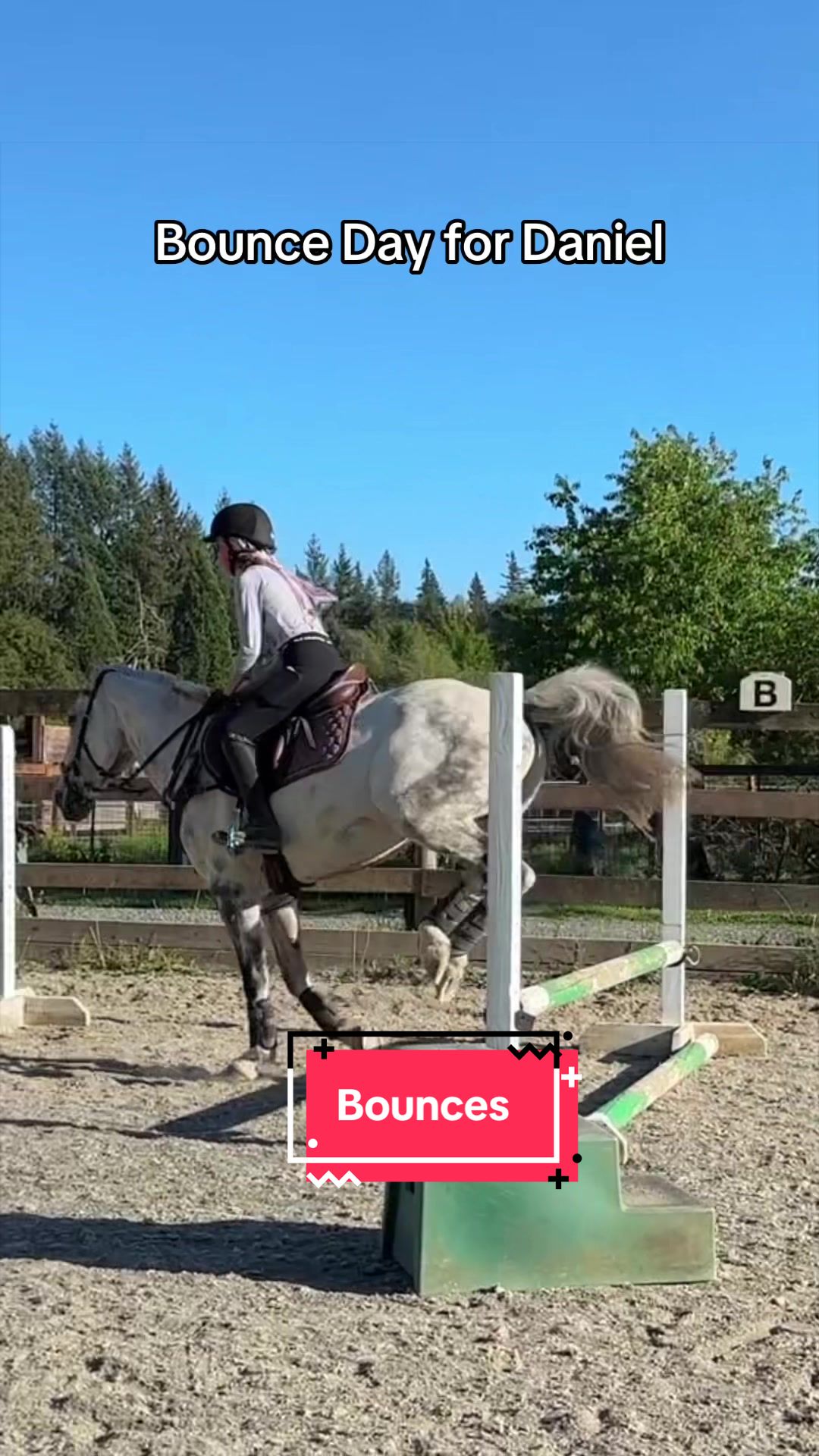 @BlueStarEquestrian