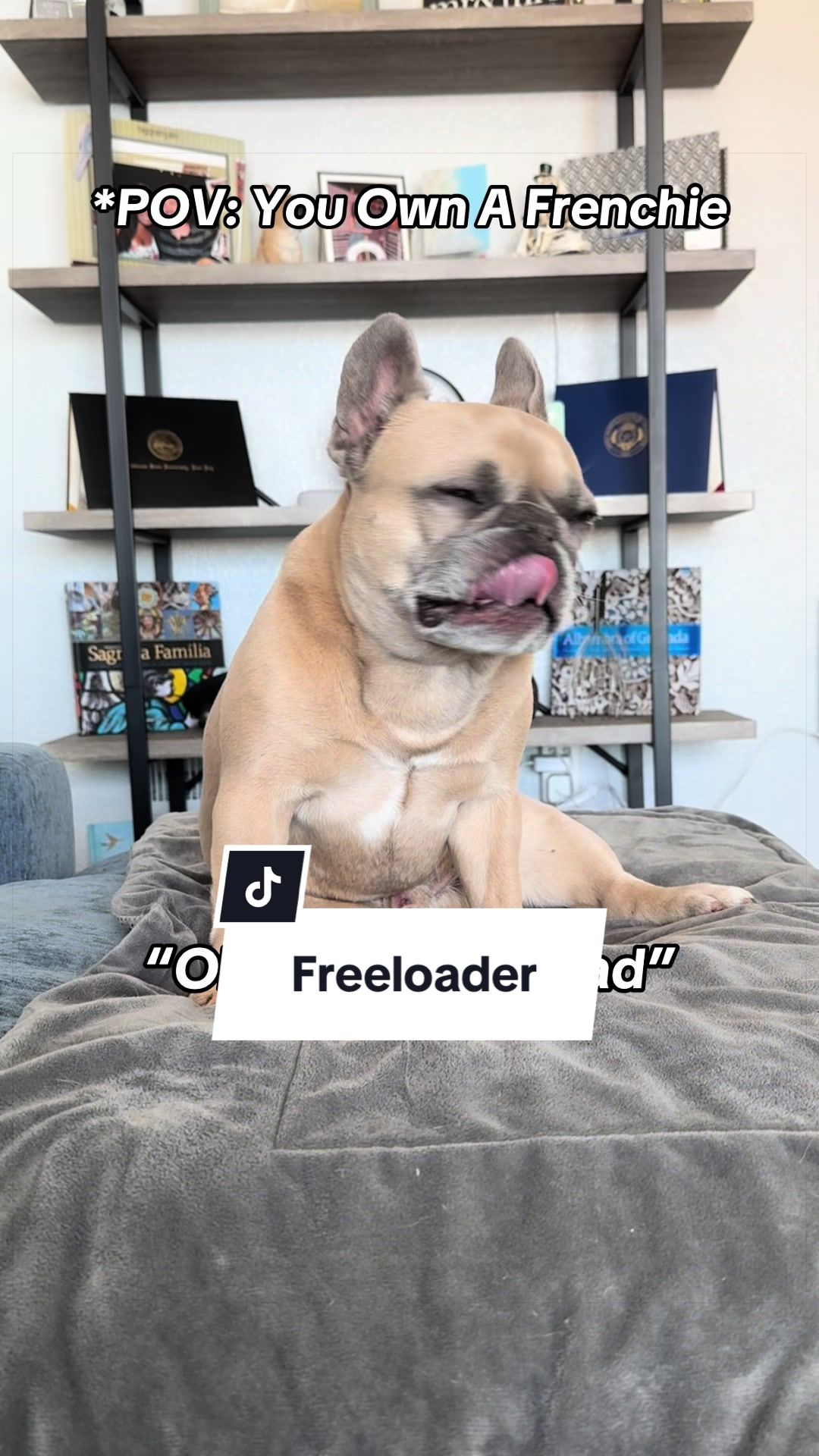 @Somefrenchienamedapollo