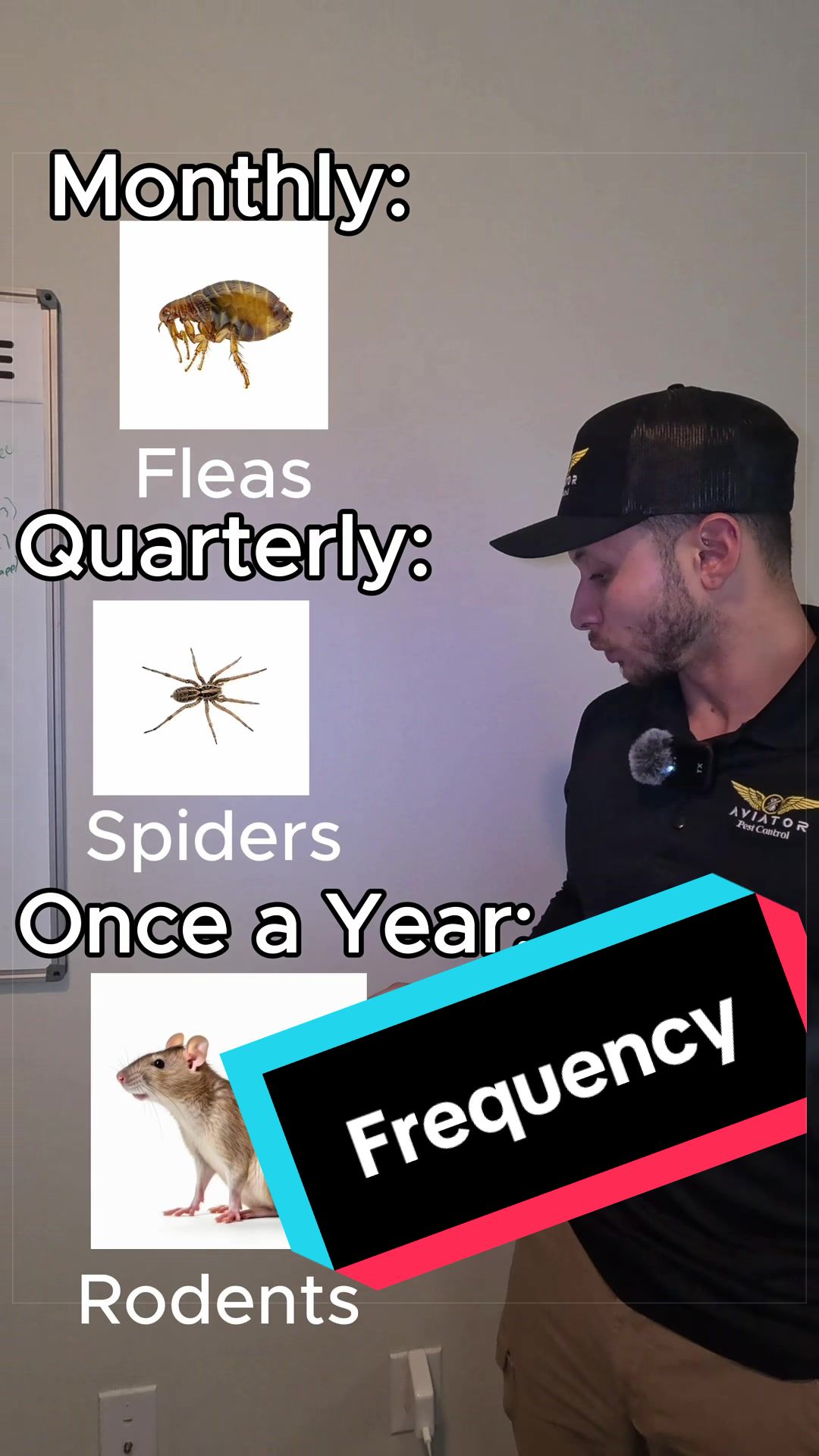 @Aviator Pest Control