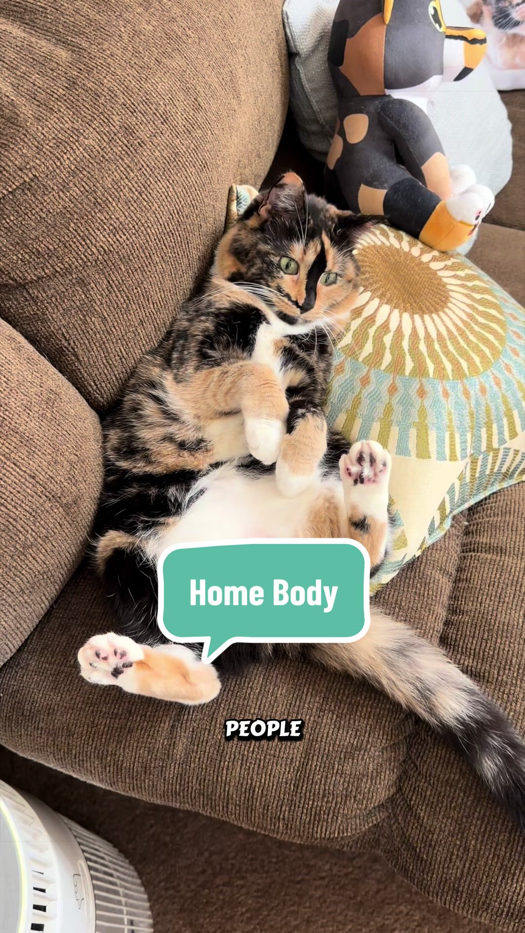 @SnickersTheSmilingCat