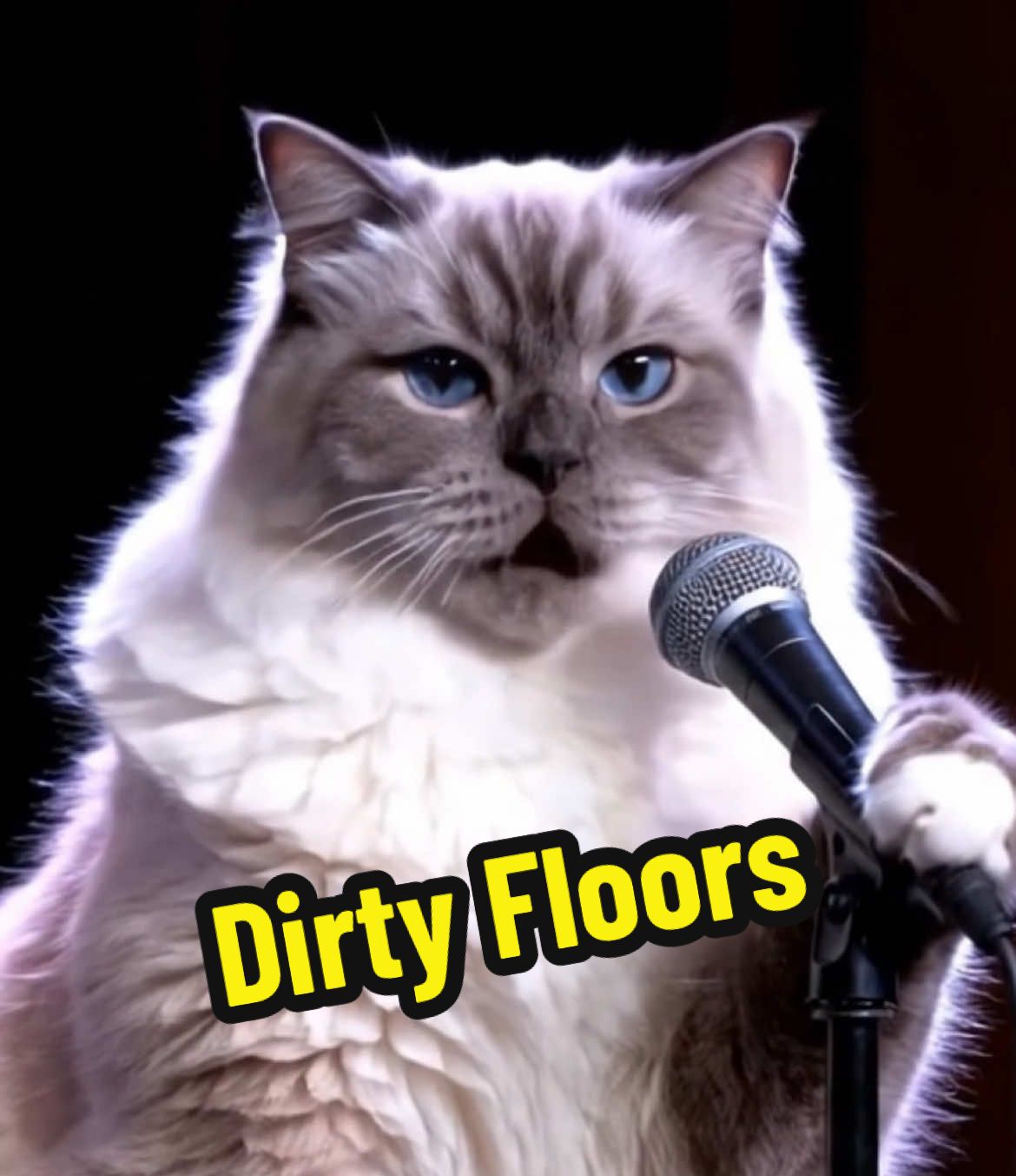 @comedyclubcats