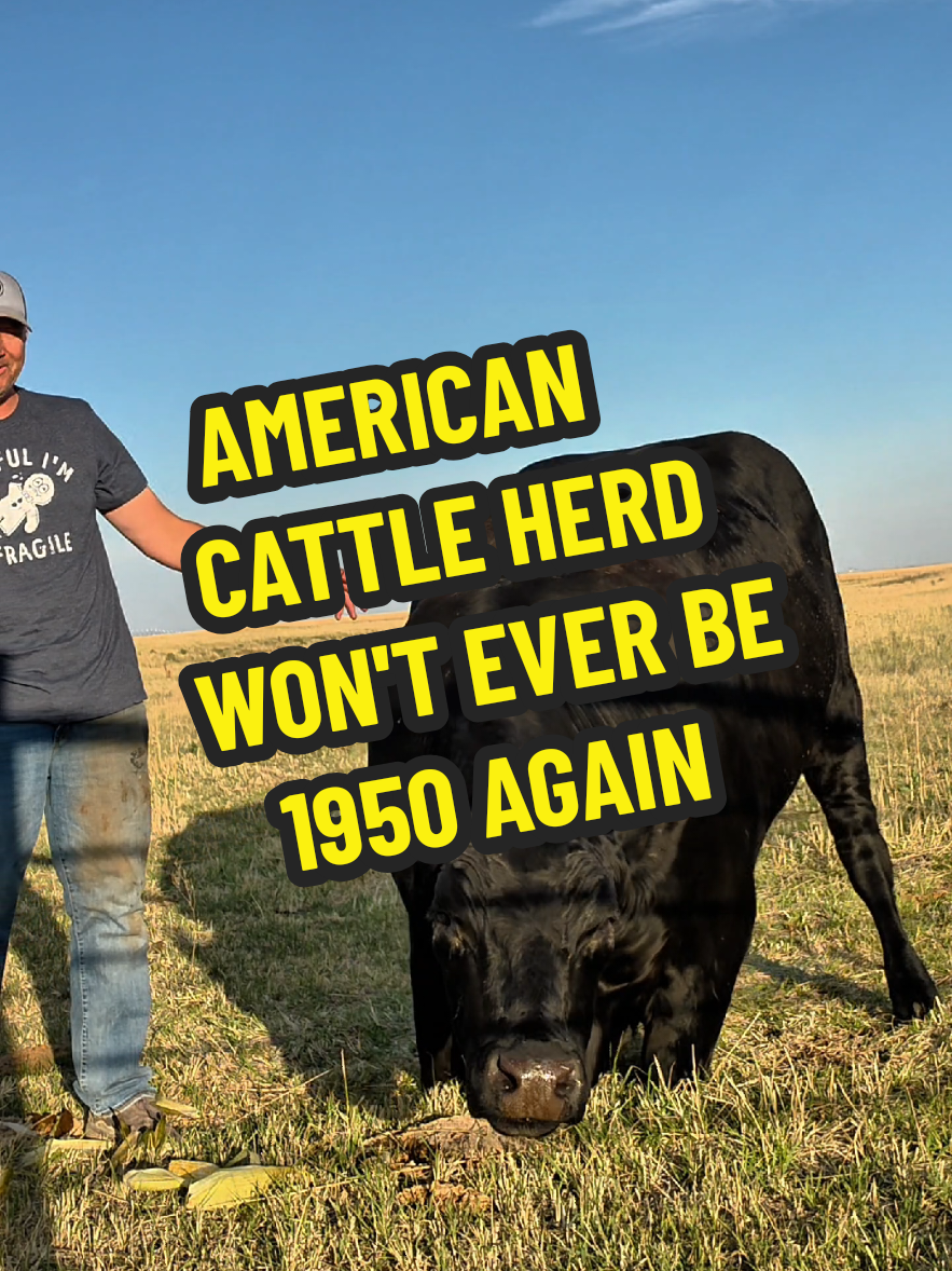 @1HANDNFARMING 🦾🌾🐂🚜