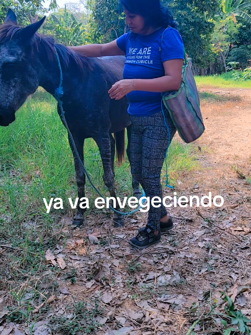 @lucymanzano