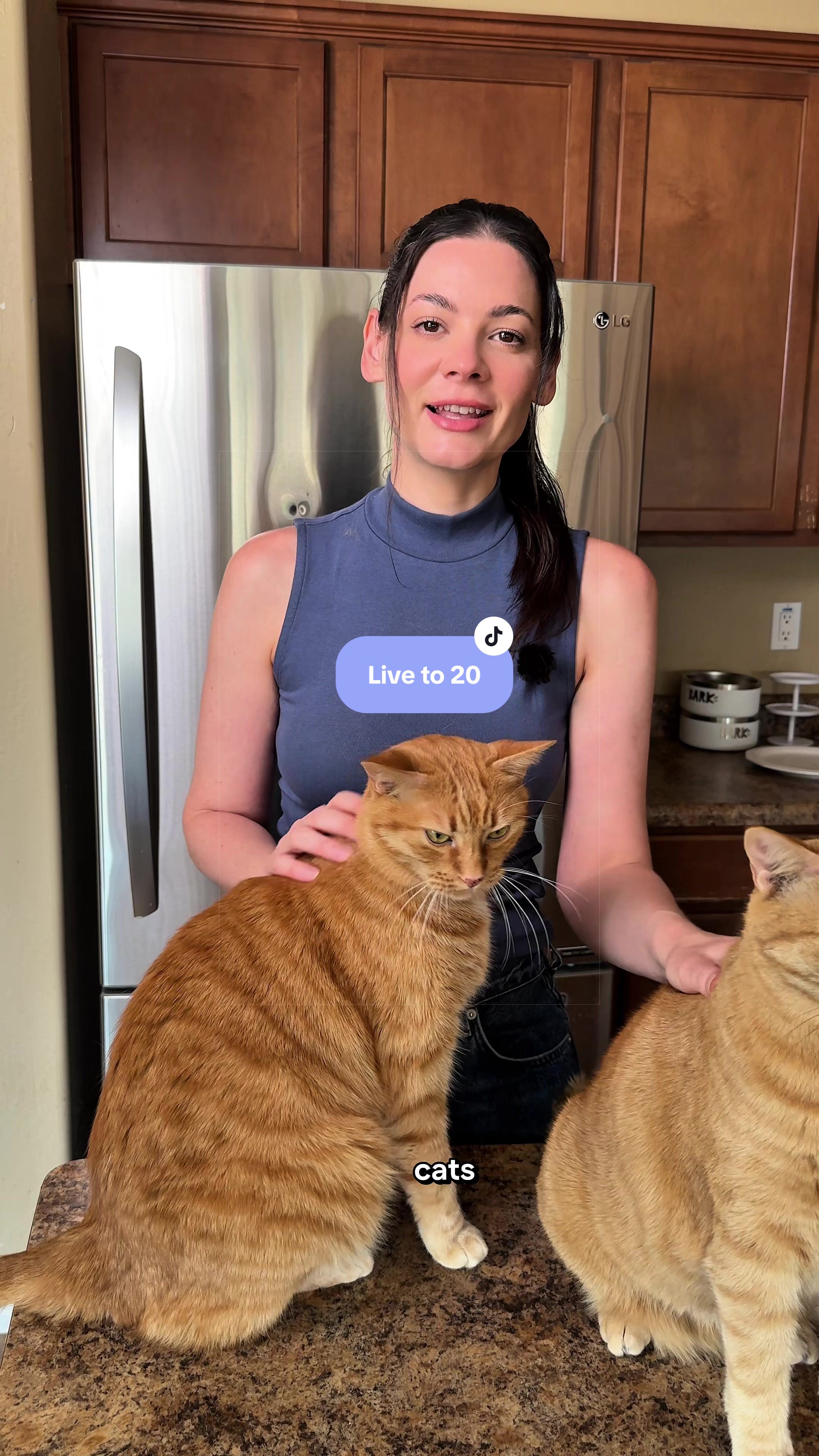 @Feminist Kitty | Cat Nutrition