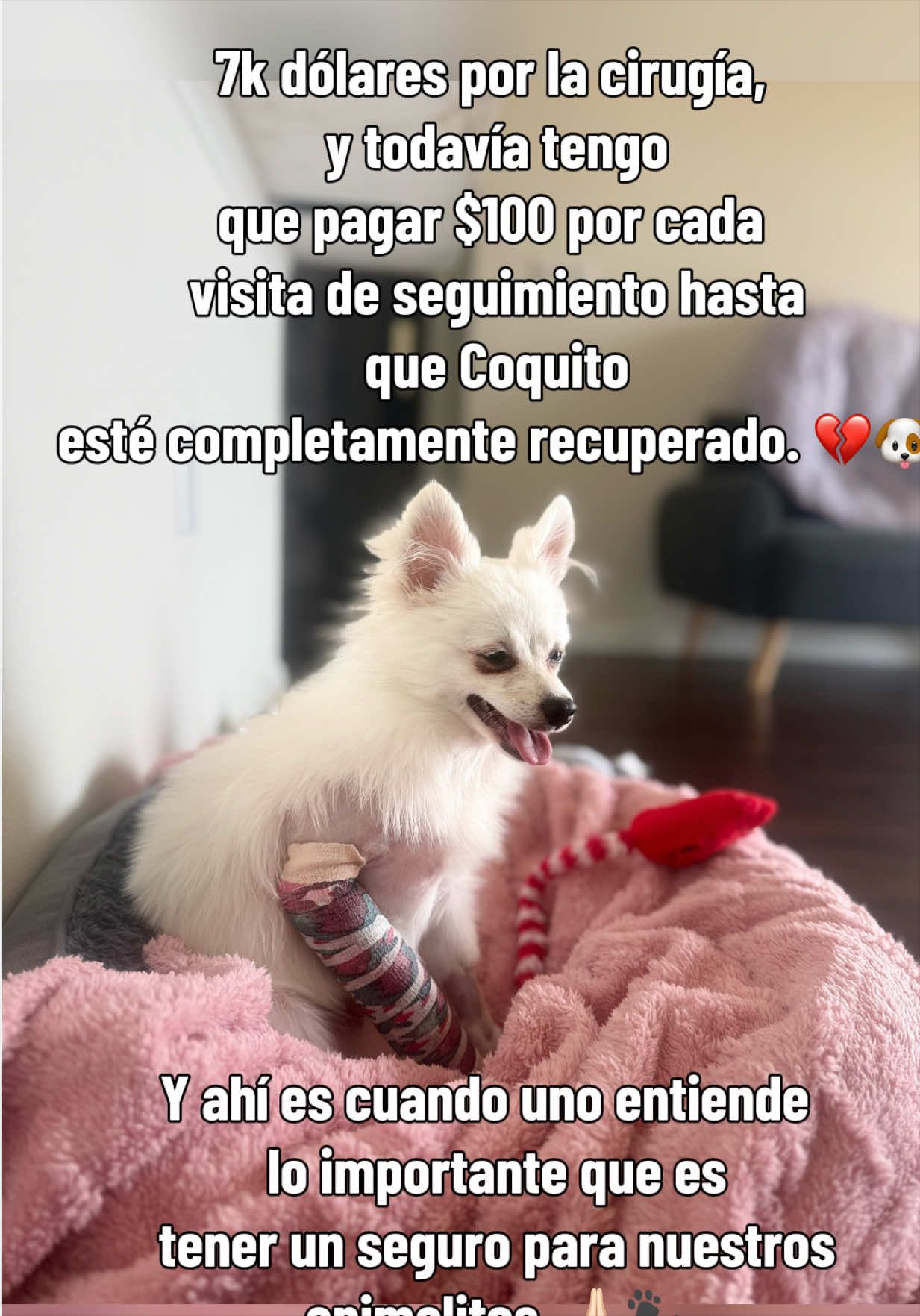 @naticarvajal0119