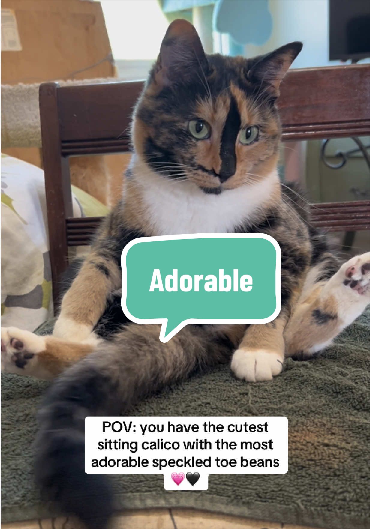 @SnickersTheSmilingCat