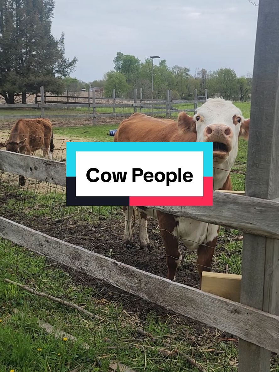 @Farmer Matthew