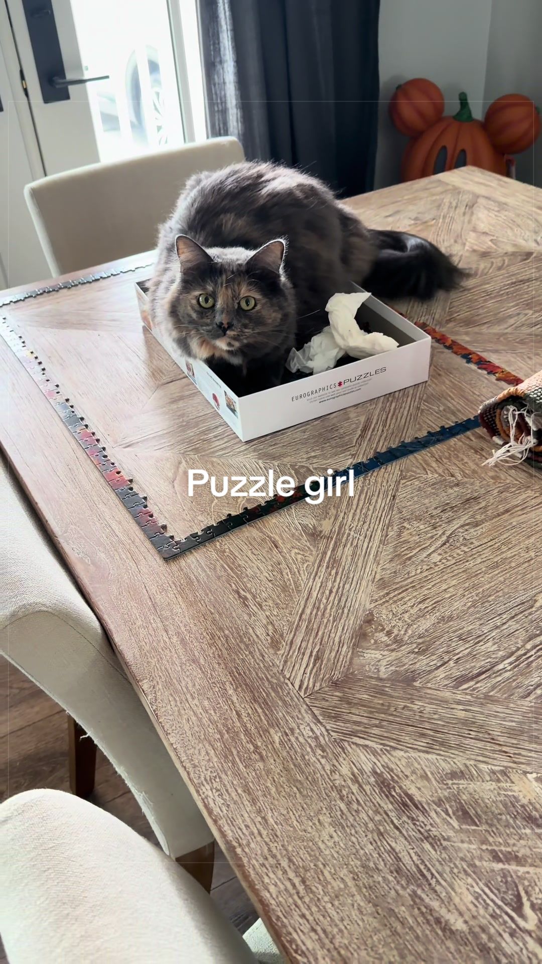 @2goldensandacat
