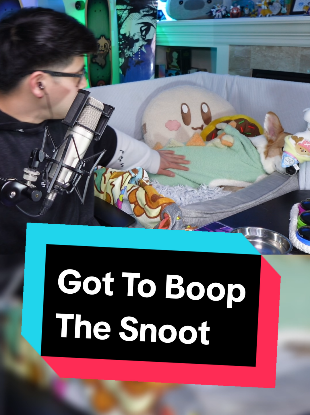 @Protocorg | Twitch Streamer