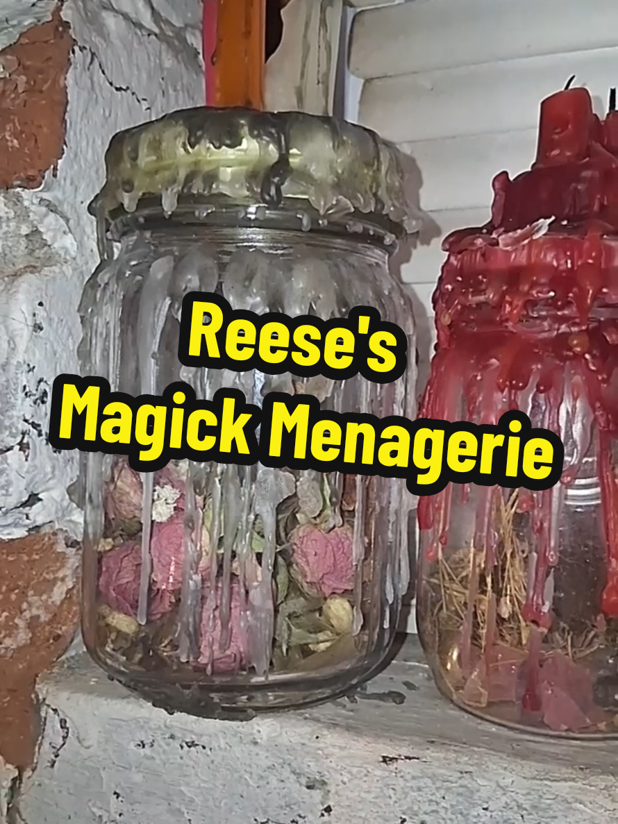 @🕯Reese the Witch🕯
